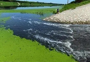 面對(duì)黑臭水體治理難題，都有哪些應(yīng)用不錯(cuò)的處理工藝？