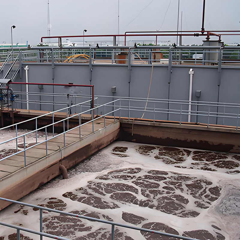 培菌注意事項(xiàng)有哪些？